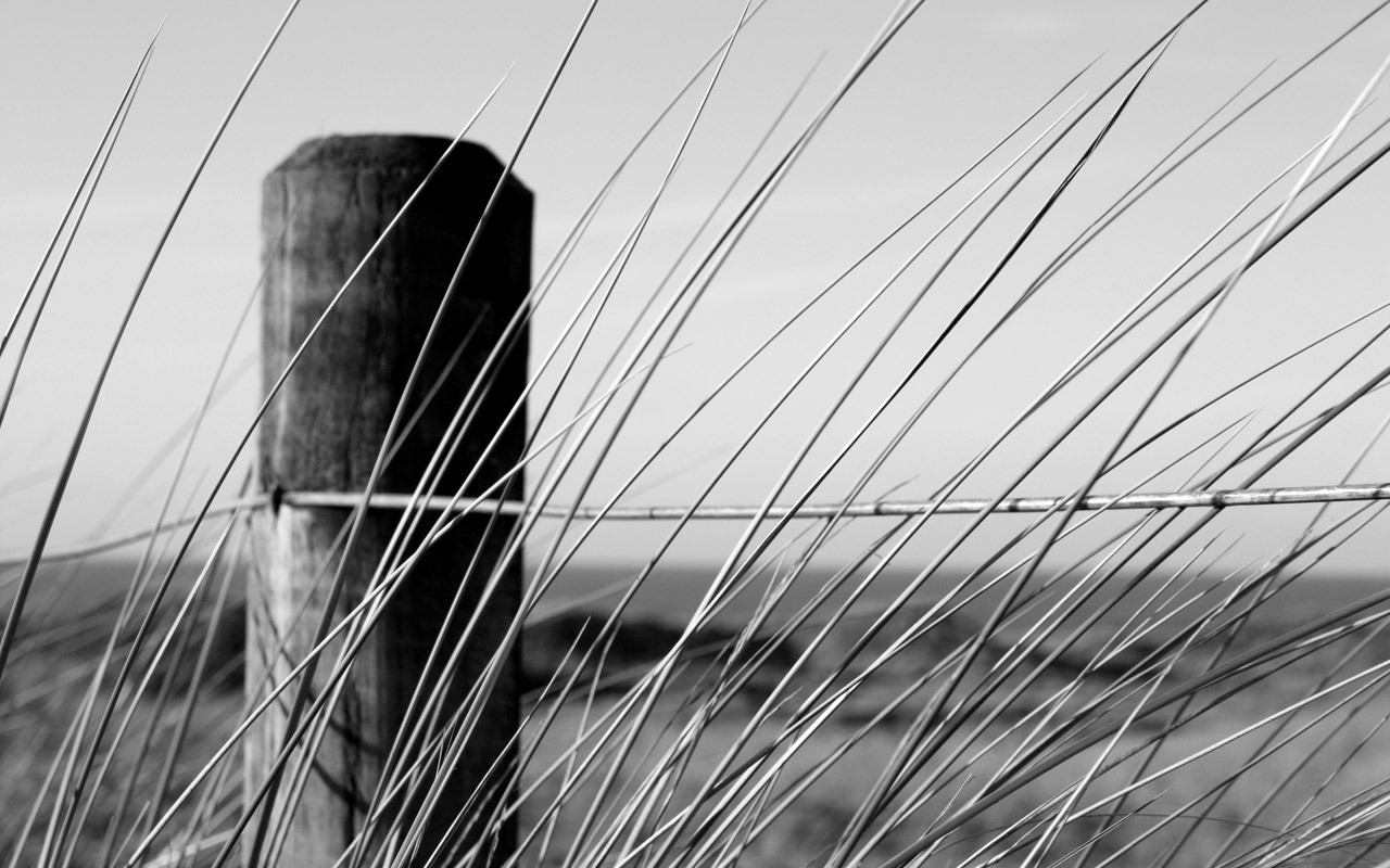 Fench Post at Formby Beach