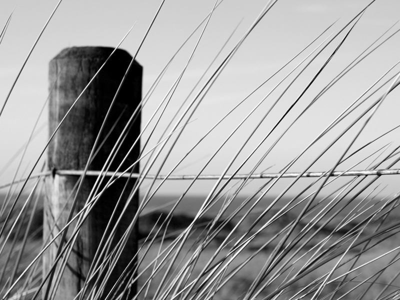 Formby Beach